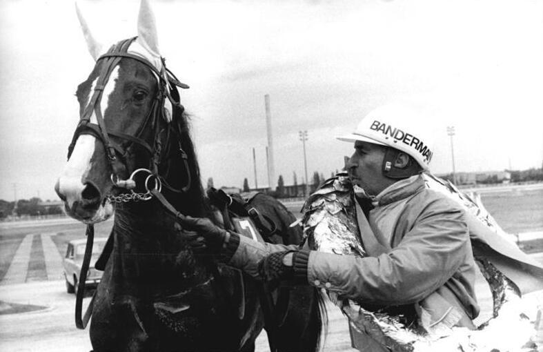 German Trotter