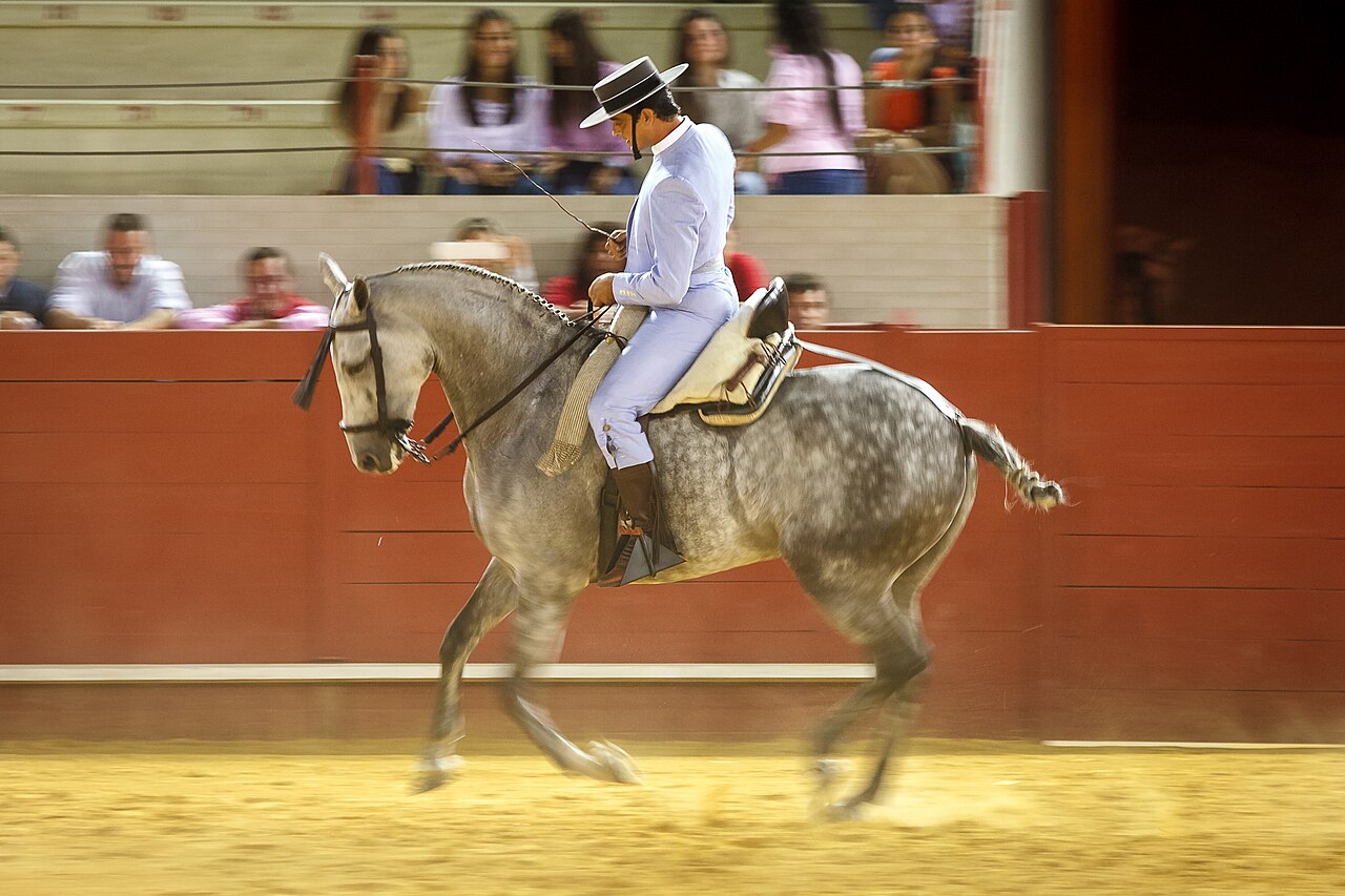 Hispano-Árabe