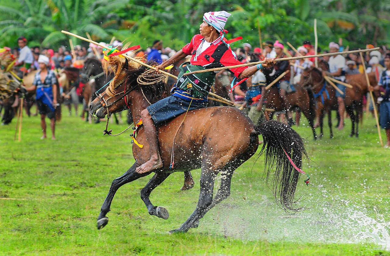 Sandalwood Pony
