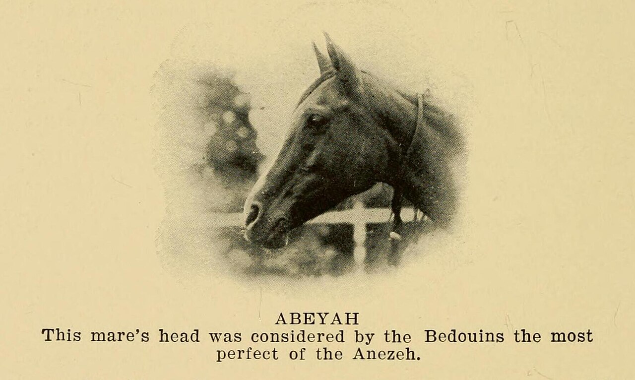 Abeya