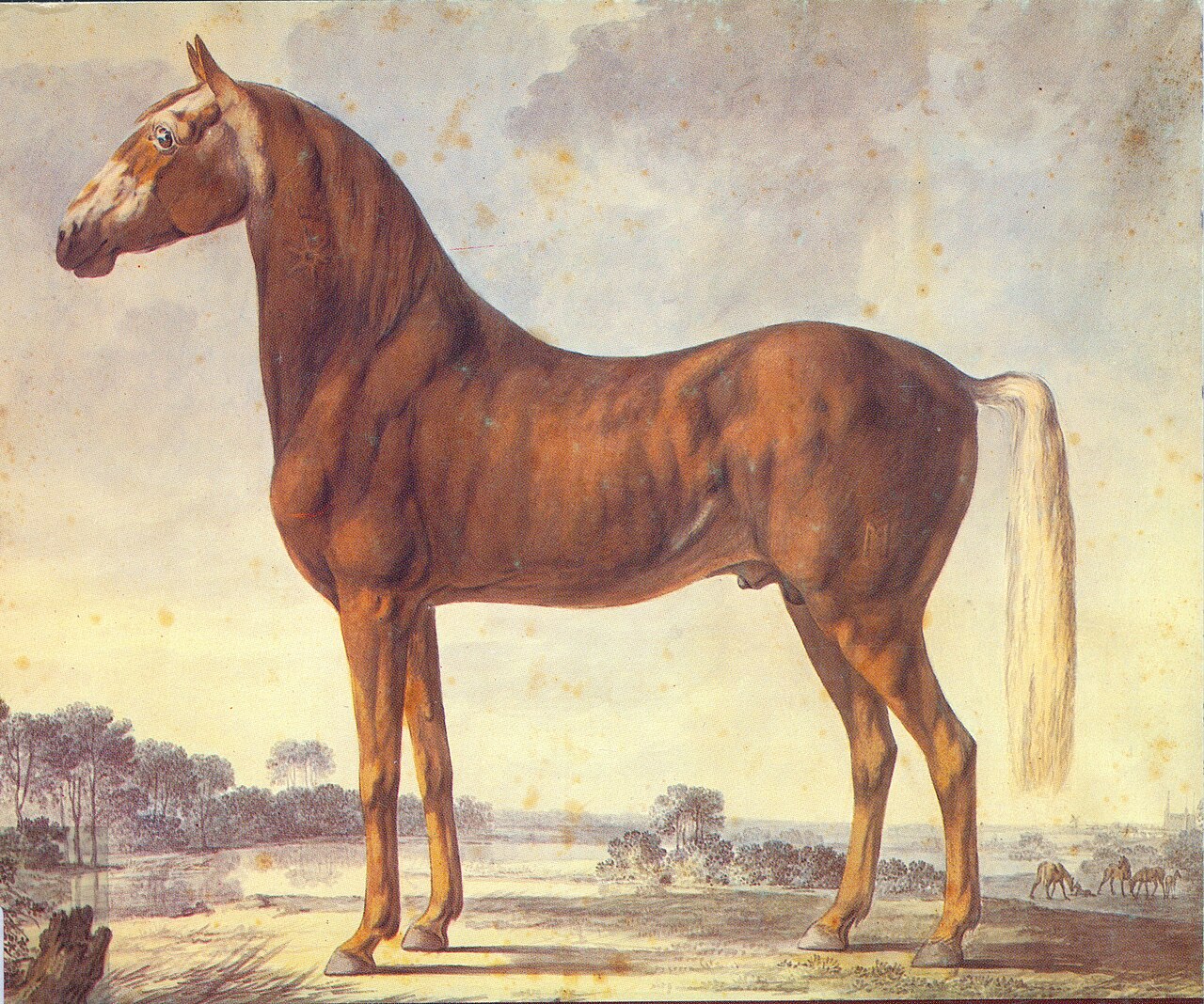Frederiksborg horse
