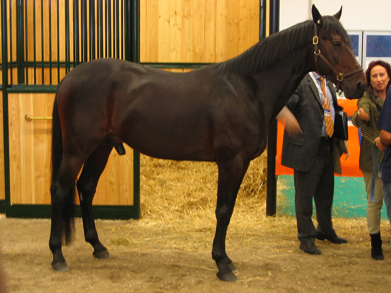 Italian Trotter