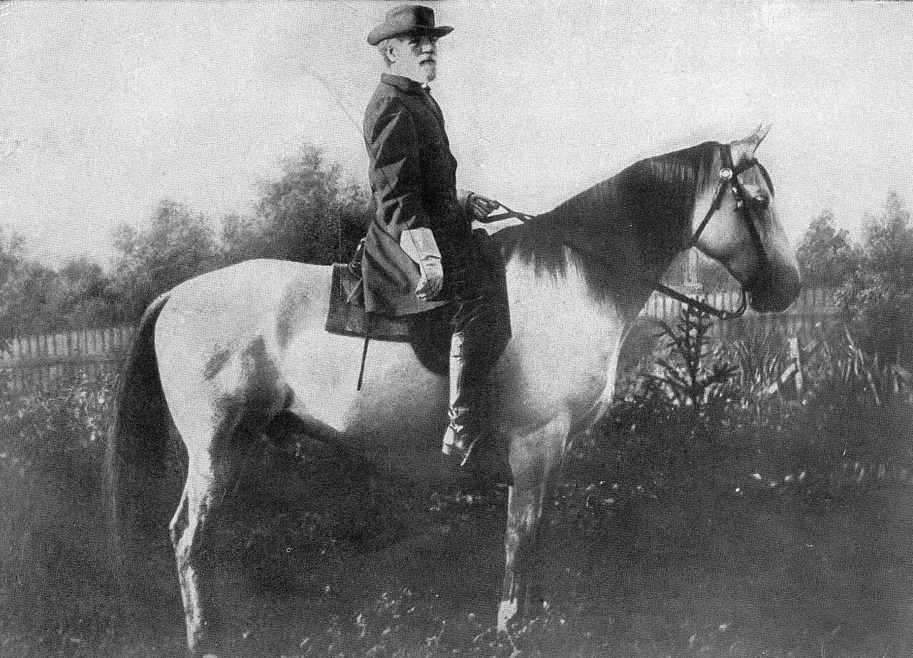 Georgian Grande Horse