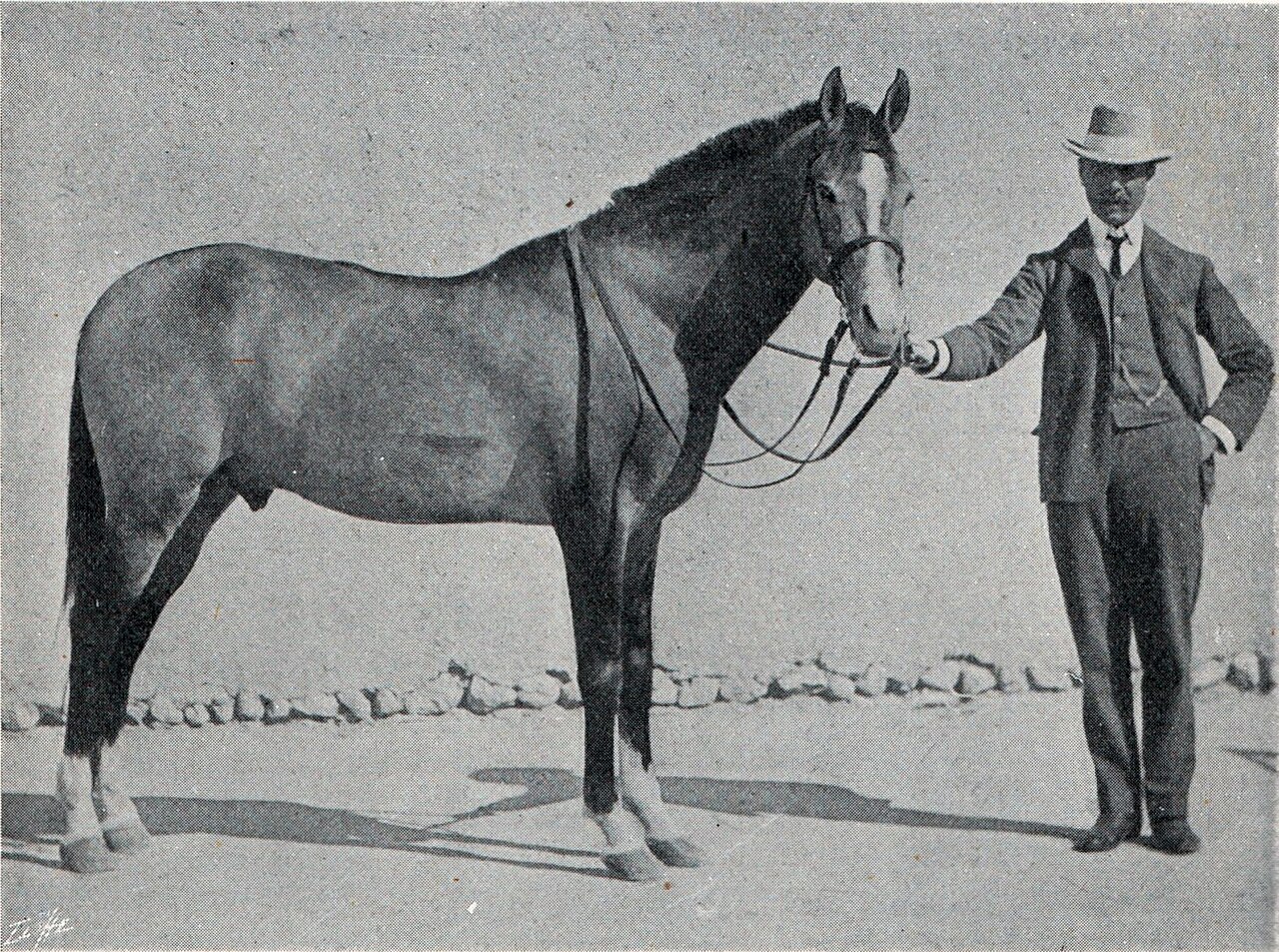 Iomud