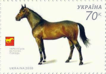 Українська верхова