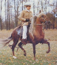Peruvian Paso